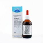 Betulla - Gramigna - 50 ml